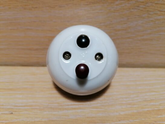 Portselanist lambilüliti