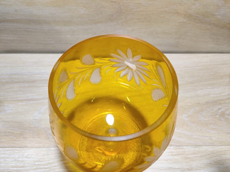 IMG_20240114_115627__01